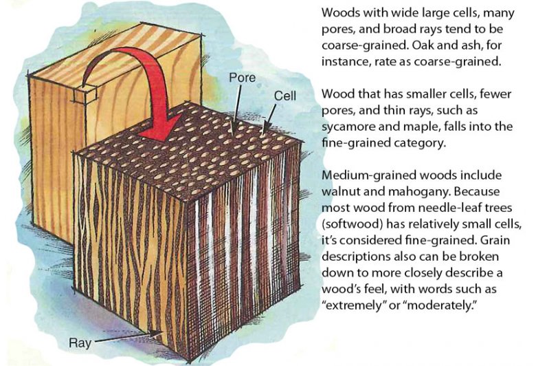 Understanding Wood Grain